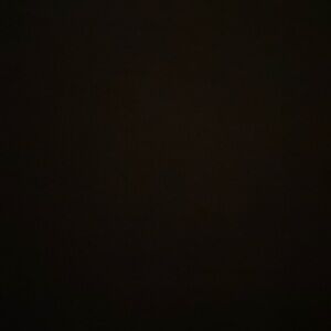 Meet your Posher, Shelby